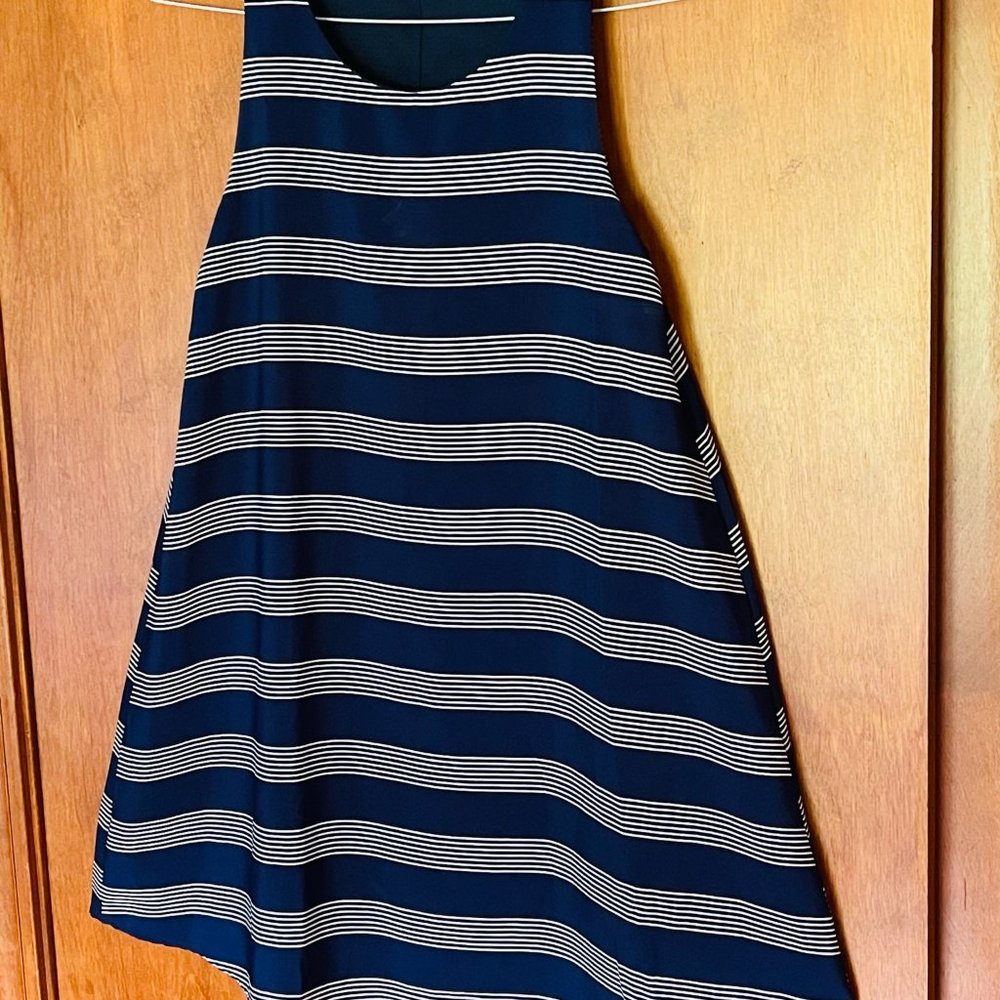 Sleevelss Swing Dress